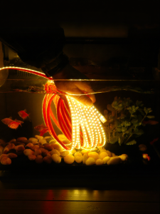SHUOYU | Waterproof Self-Adhesive LED Strip Light 24V