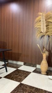 Cat Sweatshirt Holyrider Sweatshirt Basic model ERIGO terbaru