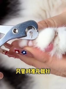 Cat Nail Clippers Pet Nail Grooming Clippers Cat Claw Trimmer for Nail Easy To Clean Sharp and Safe Universal