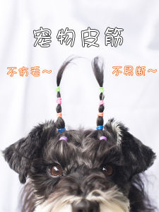 Pet Rubber Band Dog Rubber Band Does Not Hurt Hair Schnauzer Yorkshire Teddy Braid Hair Band Beauty Headdress