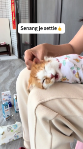 POODEE PETS Malaysia Pet Cat Dog Soft Breathable Anti Scratch Wrapping Blanket Pet Cat Bathing Ear Cleaning Gentle Restraint Pet Care