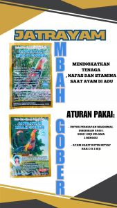 Mbah Gober 1 RENTENG - jamu ayam petarung