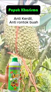 KHARISMA Pupuk ZPT GA5 - Meningkatkan Produktivitas Tanaman dan Mempercepat Panen
