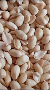 Kacang Tanah Kupas Super 500 g - Makmur Abadi