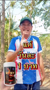 1แถม1 (แถมในกระปุกแล้วค่ะ)🔥เซียนไก่เวย์🔥เวย์โปรตีนไก่ชน วิ่งอึด วิ่งทน เสริมกร้ามเนื้อ เสริมกระดูก หน้าแดง เดือย เล็บ