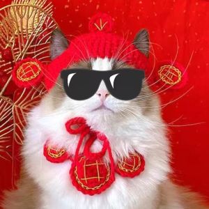 New Year Celebratory Knitted Wool Pet Hat Exposing Ears Dog And Cat Year of the Dog Headwear Festive Pet Clothing Decoration