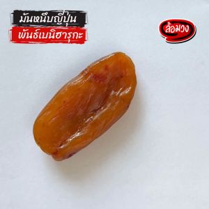 หวานธรรมชาติ ผ้าเหรียญ มันหนึบ มันหวานญี่ปุ่น พันธุ์เบนิฮารูกาฮูด หวานธรรมชาติ ขนม ล้อมวง (RomWong)