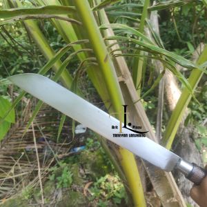 Pisau Sembelih Hewan Asli Baja Per Ukuran 50 cm/Pisau Tajam Super Baja/Pisau Pisau Dapur Madura Baja Asli/Pisau Tajam Pisau Dapur/Pisau Dapur Baja Asli Madura/Pisau Dapur Yg Tajam/Pisau Baja Asli Murah/Pisau Dapur Tajam Baja Asli/Pisau Madura Bangkalan