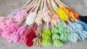 Better Home - [1 PCS] Bunga Kering Bunny Tail Bouquet Dried Flower Lagurus (ECER) EMYEA 1