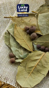 Laurel Leaves / Dahon ng Laurel Buo / Bay Leaves Whole / Quality (250g 100g 50g) | Lucky Luna Spices