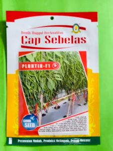 Benih cabe keriting PLUNTIR F1 isi 10g dari CAP SEBELAS terbaik