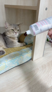 PetClear Cat Hairball Care Feeding Gel 120g | Nutrition Supplement Paste for Everyday Use