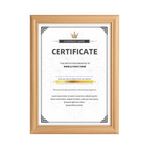 GOLDLONSEN | Patent Award and Authorization Certificate Display Frame