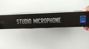 BM800 Condenser Microphone Pro Audio Studio Sound Recording Arm Stand 6 inch Pop Filter Kit