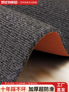 Anti-Slip Entrance Mat Large Area Full Coverage Door Mat Kitchen Absorbent Doorstep Rug Modern Simple Style Home Use Carpet