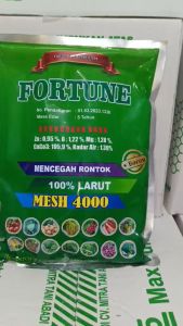 Obat Layu Tanaman Kentang FORTUNE 1 KG | Solusi Ampuh Cegah Layu Fusarium dan Bakteri Lindungi Akar Perkuat Tanaman Tingkatkan Daya Tahan Umbi Fungisida-Bakterisida Efektif untuk Panen Kentang Berkualitas dan Optimal