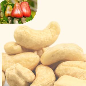 JAOS PALAWAN ROASTED CASHEW 250G STAND-UP POUCH RESEALABLE