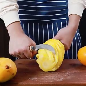 Multi-purpose stainless steel fruit cutting knife 多用途不锈钢切水果刀