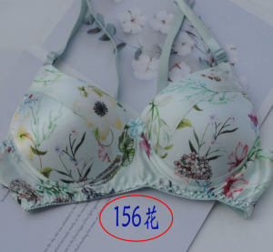 Color Classy Breathable Sponge Chun Zi Bird Double-Sided Mulberry Silk Sports Silk Bra Intimates Direct Sales