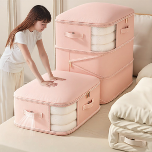 See-Through Compressible Storage Bags