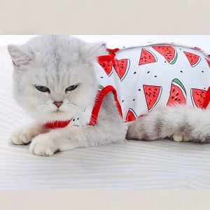 Recovery Suit Cat Sterilization Prevent Licking After Surgery Baju Bedah untuk Kucing-after mandulkan
