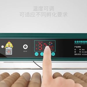 12V/220V Egg Incubator 12/24/48/64/130 Eggs Fully Automatic Egg Incubator Intelligent Digital Hatcher Brooder with Temperature Control and Auto Turning for Hatching Chicken Duck Goose Quail Birds Incubators for Farm