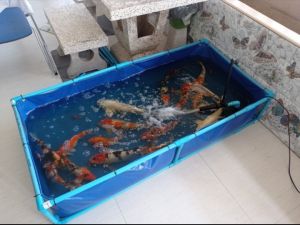 กระชังบกบ่ผ้าใบ PE 200 Super ขนาด 60 * 140 * 30 ราคาไม่รวมโครง