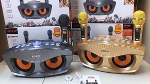 SD306 PLUS Upgraded version of Owl Home KTV wireless microphone Bluetooth audio all-in-one machine two person choir