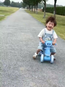 READY STOCK TO SHIP AGE 1 TO 3 YEARS KIDS TOLOCAR PUSH CAR RIDE ON TOYS SCOOTER TRICYCLE BIKE BICYCLE 4 WHEELS MUSIC COLOURFUL LED LIGHT