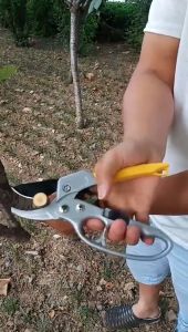 NewYorkBigSale กรรไกรตัดกิ่งไม้ กรรไกรตัดแต่งกิ่ง คีมตัดกิ่งไม้ อุปกรณ์ตัดแต่งสวน NO.Y554