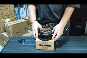 Elite Series Woofer Speaker Crown EW 520: 200Watts High Performance