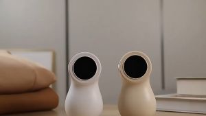 เครื่องตัดขุยผ้า ที่ตัดขนผ้า อุปกรณ์กำจัดขน กำจัดขนบนเสื้อผ้า เครื่องกำจัดขุยไฟฟ้า