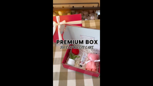 Beo Gift Premium Gift Box Knitting Crochet Plant In White Pot Flower Surprise Gift Set For Girl Girlfriend Birthday Mother Valentine Anniversary Graduation Hadiah Bunga