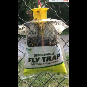 ดึงดูดแมลงวันผลไม้ได้อย่างมีประสิทธิภาพ ที่ดักแมลงวันทอง ดักจับแมลงวันทอง ล่อแมลงวันทอง การปกป้องความปลอดภัยในสวนผลไม้ ใส่ใจสุขภาพครอบครัว