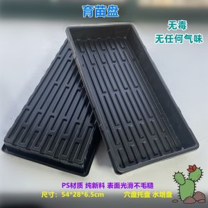 Plastic Floral Succulent Planting Tray Seedling Tray Subplate Gardening Box 1020 Bottom Tray Transparent Polypropylene Material