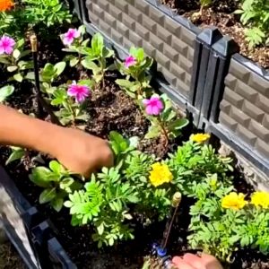 ราคาถูกสุด ส่งฟรี ชุดหัวฉีดสเปรย์หมอก พื้นหมอก และการไหลของน้ำสามารถปรับได้ สำหรับสถานที่เช่นสวน สวนผัก สวนพฤกษศาสตร์ รดน้ำต้นไม้ และลดฝุ่น PM2.5