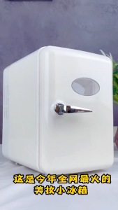 110V 220V 4L Mini Fridge Portable Refrigerator Warmer Cooler Beverage Drink Cans Samll Freezer for Home Kitchen Household