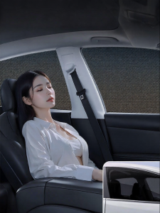Mosquito & Sun Protection Car Window Shade
