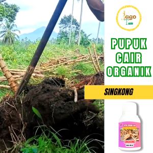 Pupuk Singkong Organik Penggemuk Pelebat Tanaman Singkong Padat Berkualitas By Jagotani Yogyakarta