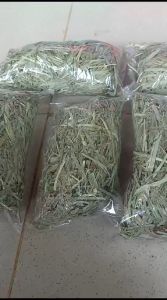Rumput Thimoty Hay Alfalfa King Makanan Kelinci Kemasan Repack 250gr