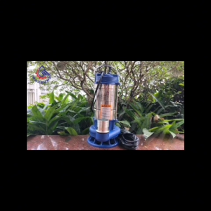MAXPUMP POMPA CELUP AIR KOTOR 2 inch POMPA AIR CELUP KURAS TANDON KOLAM 1PHASE 750watt