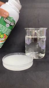 PHÂN BÓN CHỐNG RỤNG HOA TRÁI NON NỨT TRÁI - CANBO SỮA CHAI 500ML