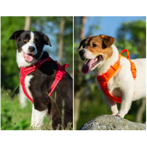 TRUELOVE | TRUELOVE Pet Harness Nylon Reflective Comfortable and Breathable Explosion-proof Small Medium Large Outdoor Camping HP5652