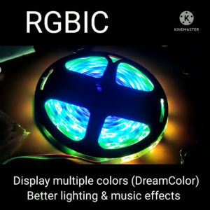 SG Stock RGBW RGBIC LED Strip light Dreamcolor Fairy light USB Power Plug WiFi Waterproof Tape Adhesive 5m 10m 15m 20m