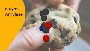 CosmEnzime® hàm lượng cao 150mg Phức hệ (Digezyme) 5 loại enzyme tiêu hóa Enzyme thuần chay