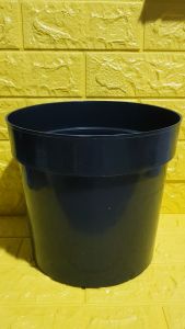 1 Piece– Premium Quality Big Black Plastic Pot (Ht. 8.5 Inches Opening 9 inches) with Philodendron Temptation 2 to 3 leaves with roots