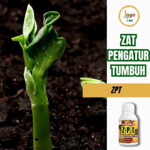 Pupuk ZPT Booster Zat Pengatur Tumbuh Pelebat Dan Penguat Tanaman Terbaik 100 Ml Jagotani Yogyakarta