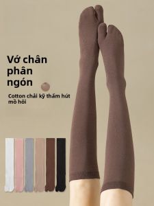 Tất nữ MiiOW hai ngón kháng khuẩn thấm hút thoáng khí cao đến gối