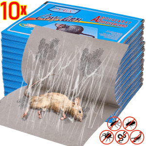 10/20/30Pcs Mouse Land Big Rats Strong Glue Pad Sticky Mouse Board Trap