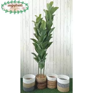 Pohon Hias Karet T150 Latex Artificial Cover Pot Seagrass Dekorasi Sudut Ruang Cafe